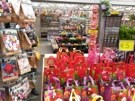 Boutiques de tulipes