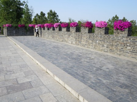 Muraille fleurie