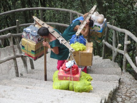 Porteurs au repos
