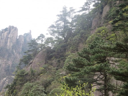 Huangshan 3