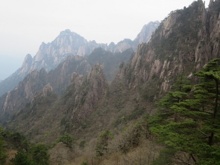 Huangshan 5