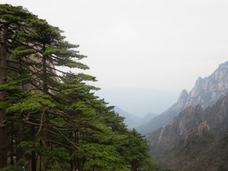 Huangshan 6