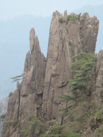 Huangshan 8
