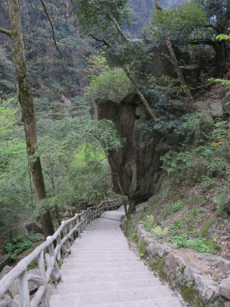 Descente
