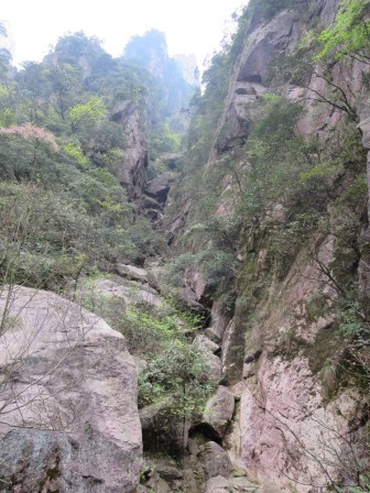 Huangshan 11