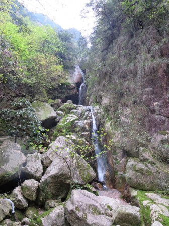 Huangshan 13