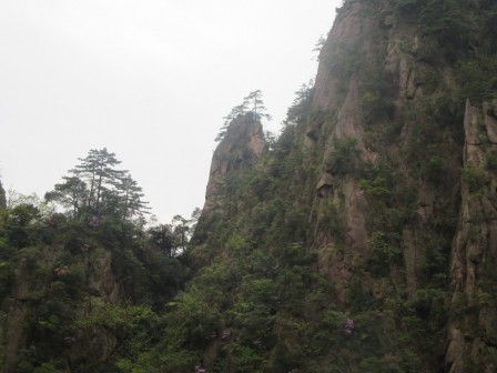 Huangshan 14