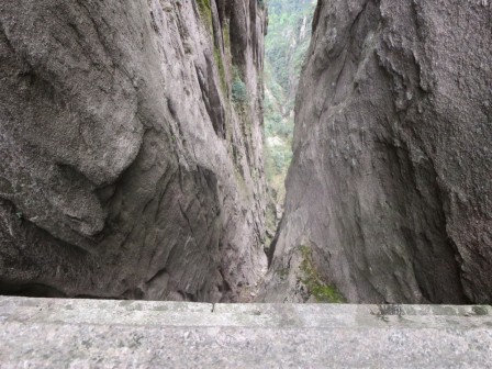 Huangshan 15