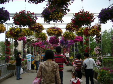 Les jardins suspendus de Shanghai